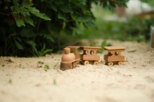 The train is the most popular toy among children all over the world. This set contains the train locomotive and two carriages.